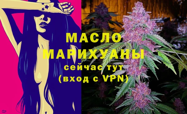ECSTASY Бородино