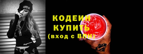 ECSTASY Бородино