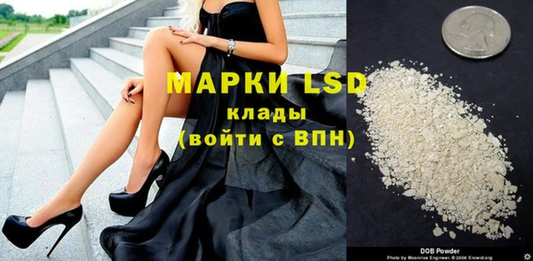 ECSTASY Бородино