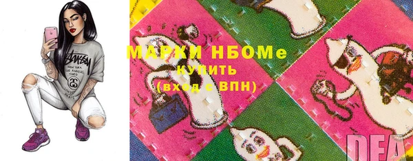 ECSTASY Бородино
