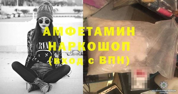 ECSTASY Бородино