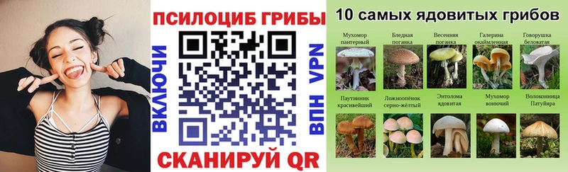 нарко площадка какой сайт  ссылка на мегу ТОР  Кондопога  Псилоцибиновые грибы GOLDEN TEACHER 