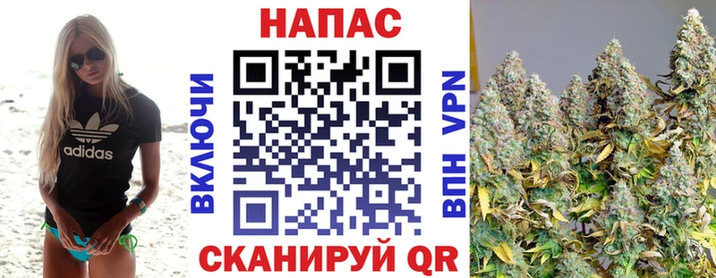 МАРИХУАНА сатива  сколько стоит  Кондопога 